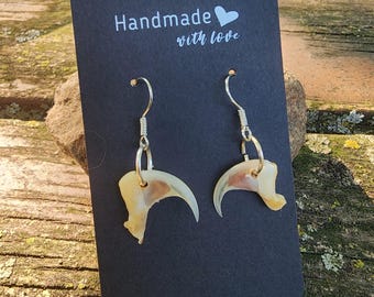 Bobcat Claw Earrings