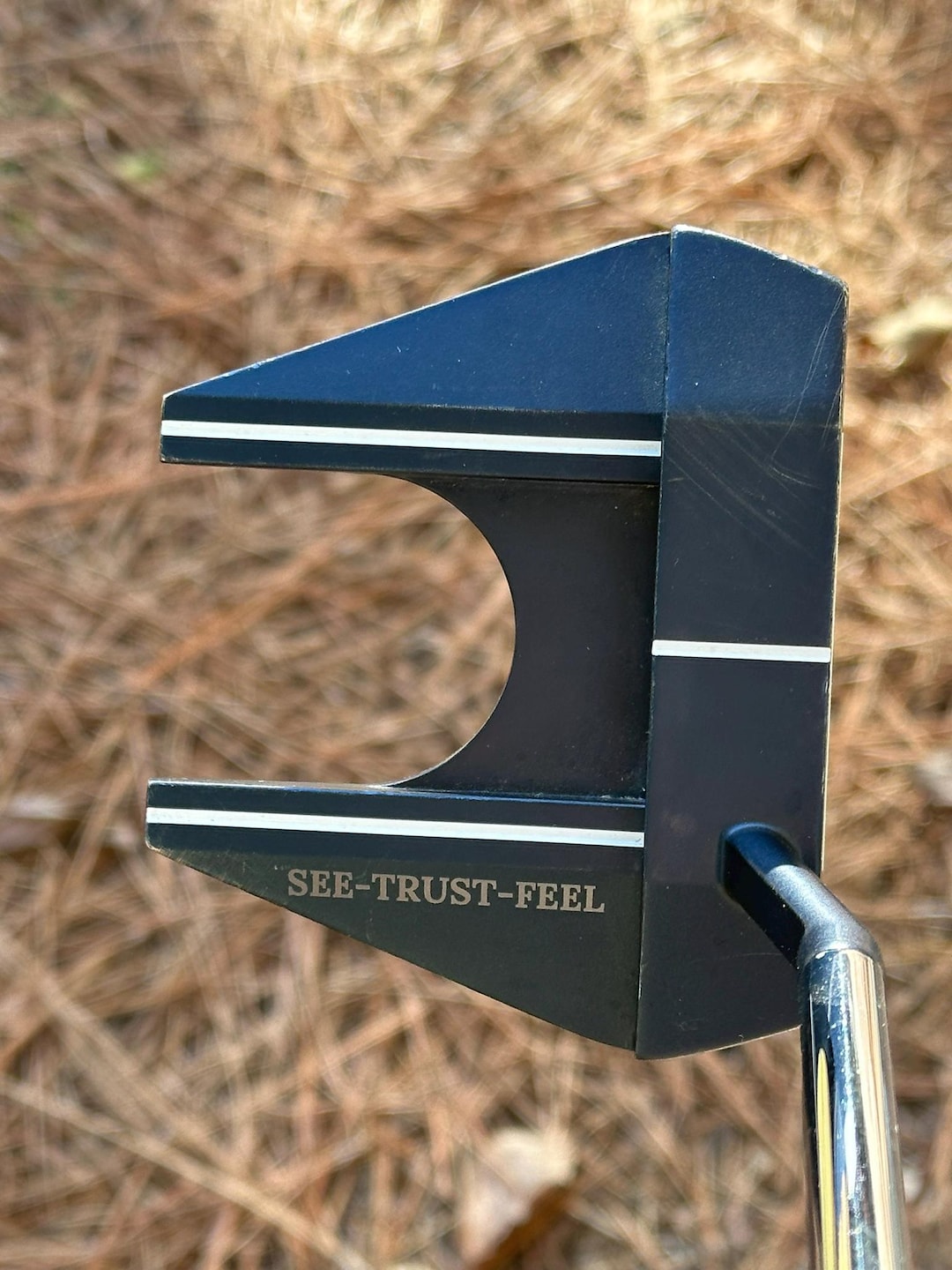 Custom Engraved Putter | Personalized Golf Club | CLUB NOT INCLUDED - Etsy