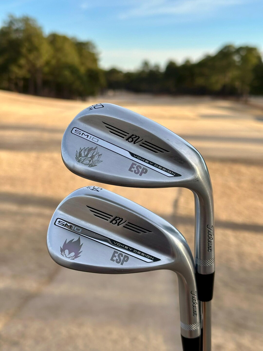 Custom Laser Engraved Golf Club | Personalized Golfer Gift | CLUB