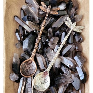 May include: Two metal spoons with dragonfly-shaped handles and textured bowls. One spoon has a copper-toned finish, while the other has a silver-toned finish. Both feature a branch-like stem design leading to a detailed dragonfly at the top.
