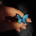 MoonpetalButterfly store logo