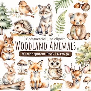 Clipart Animaux de la forêt | Animaux à l'aquarelle | Animaux de la forêt PNG | Clipart chambre d'enfant | Ours Renard Lapin Cerf Raton laveur | Licence commerciale