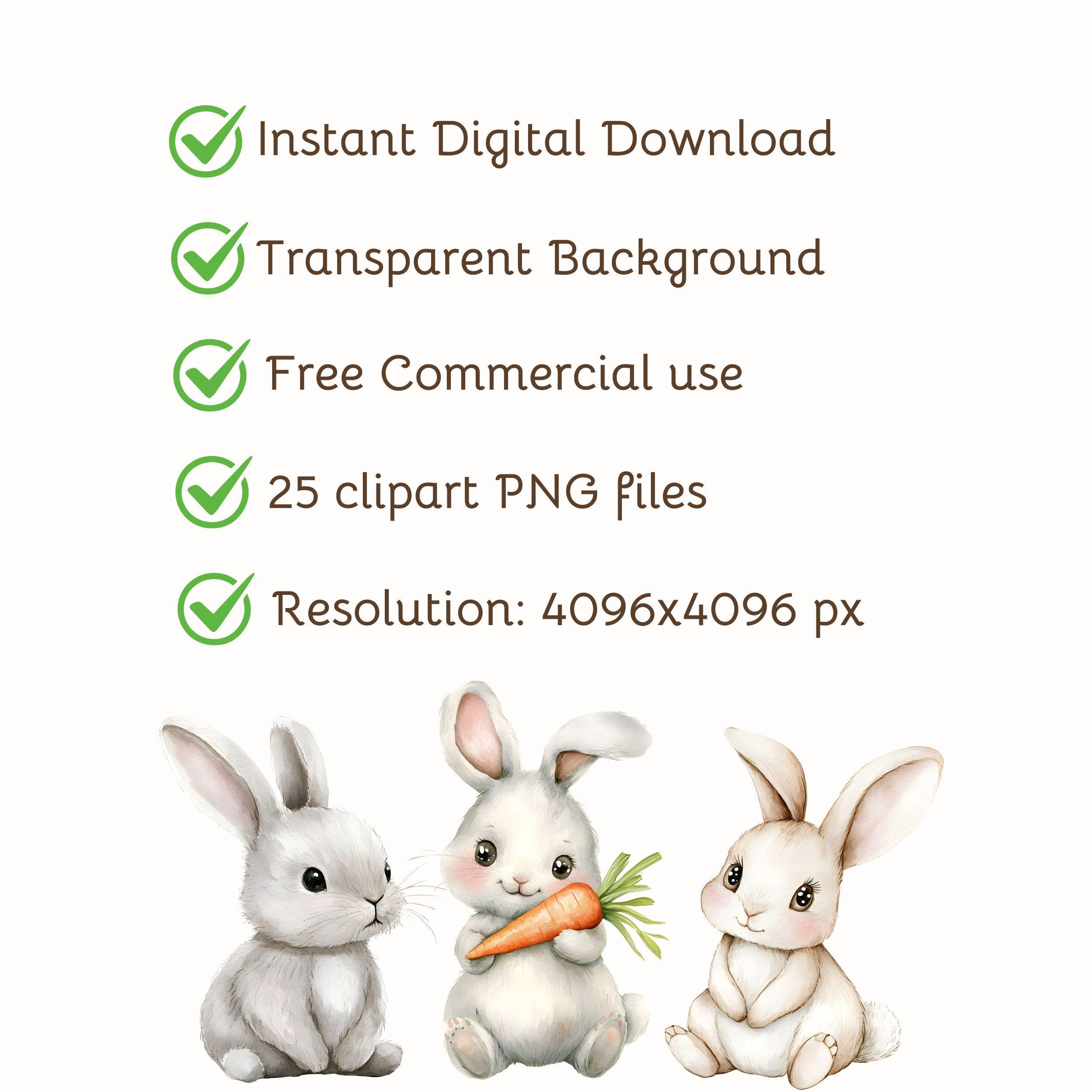 Watercolor Baby Bunny Clipart | Watercolor Rabbit | Cute Animal PNG ...