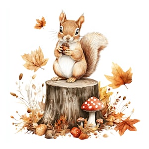 May include: A brown squirrel with a white belly sits on a tree stump holding an acorn. The scene includes floating orange autumn leaves, a red mushroom with white spots, smaller brown mushrooms, and dried grasses against a white background.
