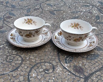 Vintage C.T.S.I. Country Garden Cups and Saucers- Lovely Fall Decor
