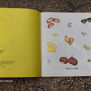 All About Seeds written by Susan Kuchalla 1982 image 3