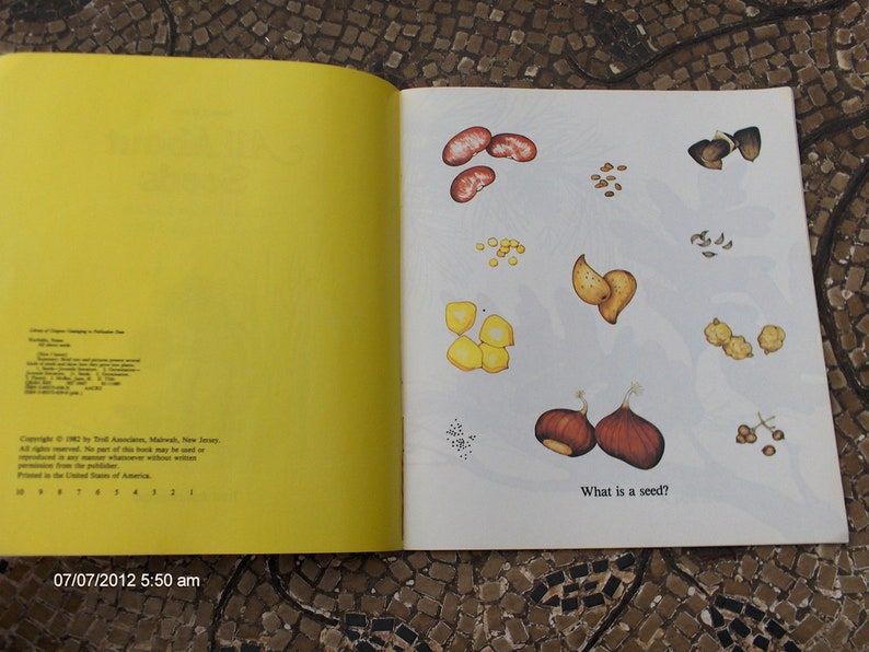 All About Seeds written by Susan Kuchalla 1982 image 3