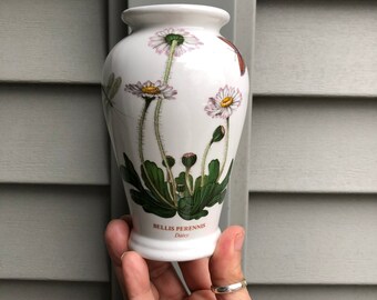 Vintage Portmeiron Bellis Perennis Daisy Vase - The Botanic Gardens - 1972 - England