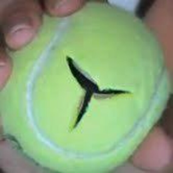 Echwave 4 Palline da Tennis per Deambulatori, Palline da Tennis Premium per Gambe di Mobili e Protezione Durevole del Pavimento Duro