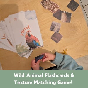 野生動物のパターンマッチングカード 10 枚、ジャングルの動物フラッシュカード、モンテッソーリ サバンナ ユニット、自然学習カード、ホームスクール アクティビティ