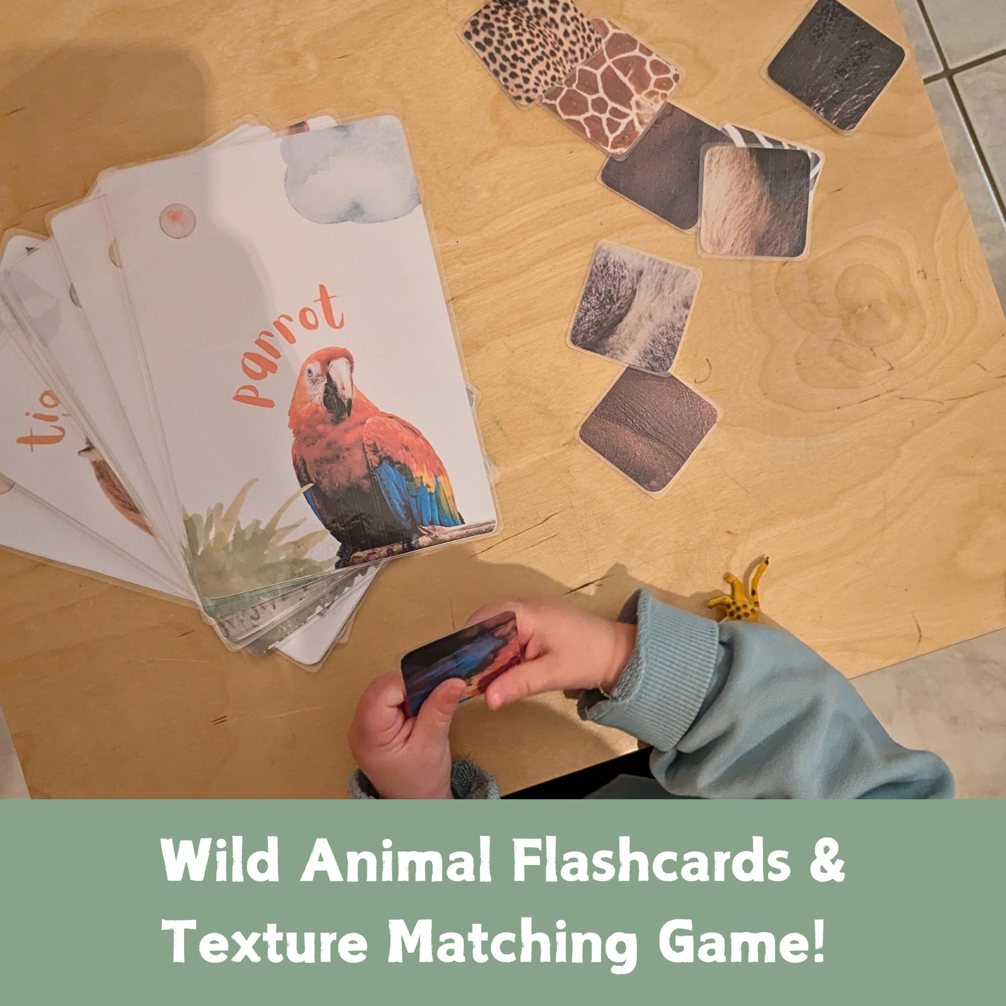 Wild Animals Texture Matching Cards: Montessori Homeschool Activity ...