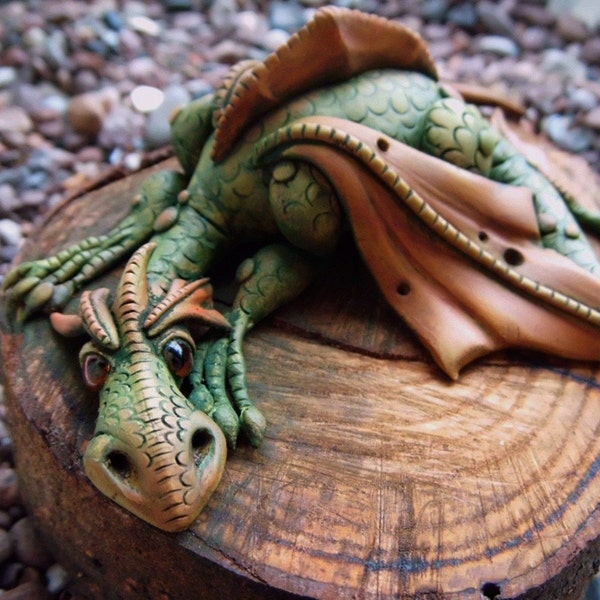 dragon on a log