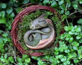 Newborn dragon in nest