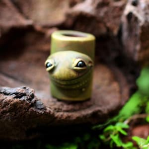 Könnte beinhalten: Ein skurriler, olivgrüner Flaschenverschluss aus Keramik in Form eines Frosches. Der Verschluss zeigt ein lächelndes Froschgesicht mit großen, schwarzen Augen. Der Frosch sitzt auf einem zylindrischen Sockel und ist ein einzigartiges Weinaccessoire.