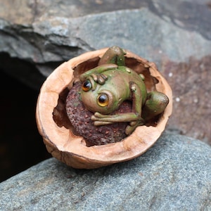 May include: A small green frog figurine with large amber eyes resting inside a brown walnut shell. The frog is positioned on top of a dark brown, textured, spherical object nestled within the hollow centre of the split walnut shell.