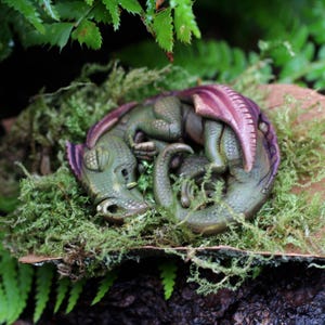 Pasgeboren draak in nest