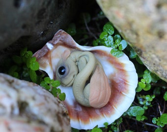 Sea dragon sculpture OOAK shell creature