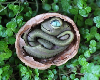 Dragon baby in a chestnut shell