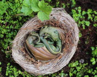 Newborn dragon in nest