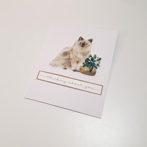 May include: A white greeting card featuring a watercolor illustration of a fluffy cat and a potted plant. The text "thinking about you" is written in a cursive font below the illustrations. The card is blank inside.