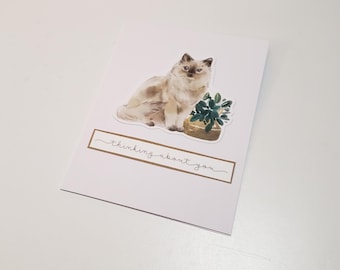 White Cat Greeting Card - Thinking About You/Pet Sympathy Card/Pet Loss Card/Cat Stationery/Any Occasion Card/Cat and Plant Greeting Card
