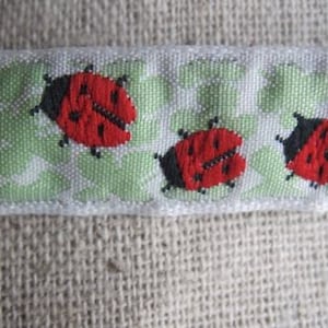 Ladybugs in the Clover RED