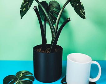 Dark Shiny Leaf Monstera Coaster Plant with Secret Compartment, 3D Printed