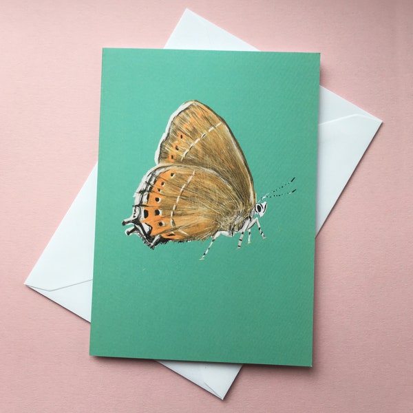 Greetings Card - Black Hairstreak Butterfly