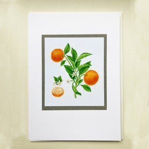 Greetings card - Orange Blossom