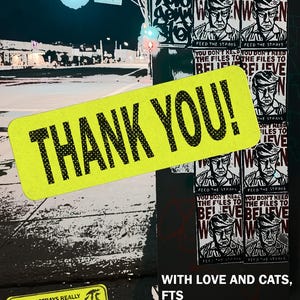Może przedstawiać: Scena uliczna z plakatami i jasnoż&oacute;łtym znakiem z napisem "THANK YOU!" w kolorze czarnym. Plakaty przedstawiają czarno-biały obraz mężczyzny i tekst "YOU DON'T NEED THE FILES TO BELIEVE". Obraz zawiera r&oacute;wnież tekst "FEED THE STRAYS".
