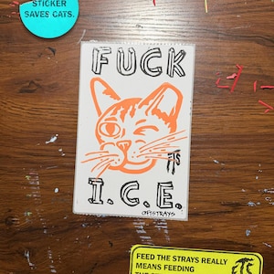 May include: A white sticker with the text "FUCK I.C.E." and an orange cat illustration. The sticker is on a wooden surface, with a blue sticker that says "THIS STICKER SAVES CATS." and a yellow sticker that says "FEED THE STRAYS REALLY MEANS FEEDING THE STRAYS."