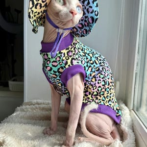 May include: A Sphynx cat wearing a colorful leopard print outfit and matching hat. The outfit is a mix of purple, yellow, blue, and green. The cat is sitting on a white, fluffy surface near a window.