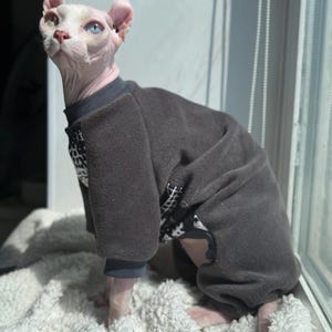 May include: A hairless Sphynx cat wearing a dark gray fleece jumpsuit with a black and white pattern on the chest and sleeves. The cat has pink ears, a pink nose, and one blue and one green eye. It is sitting on a white, fluffy blanket.