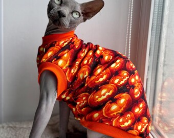 Sphynx clothes, pet clothing, cat clothes
