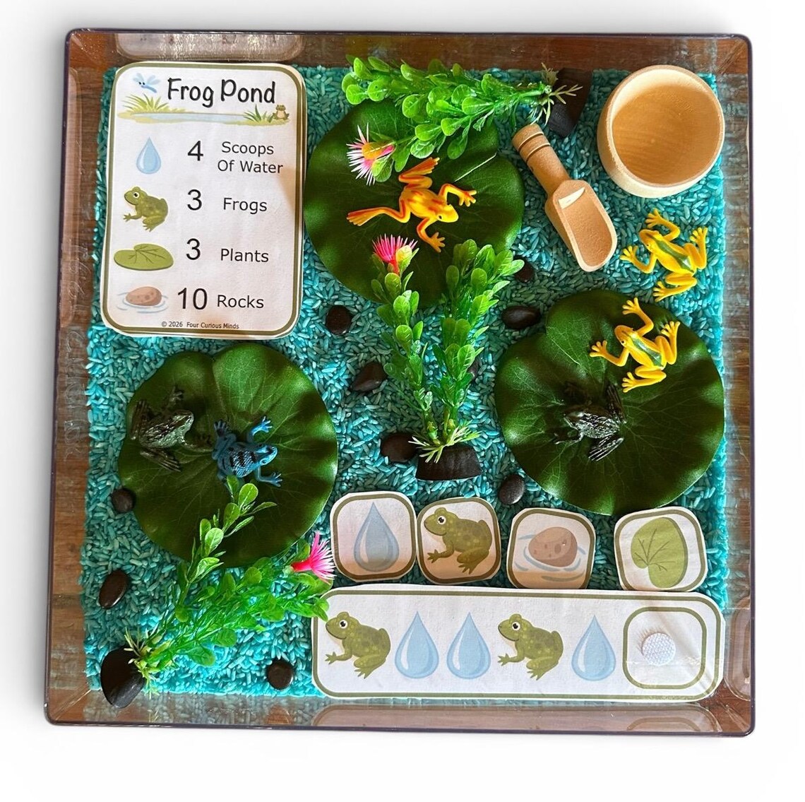 Frog Pond Sensory Bin Kit | Nature Habitat Play | Montessori Preschool ...
