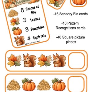 May include: A Pumpkin Patch Adventure educational set featuring a large instruction card with illustrations of hay, leaves, pumpkins, and squirrels, plus 16 sensory bin cards, 10 pattern recognition cards, and 40 square picture pieces for learning.
