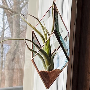 Stained Glass Air Plant Holder: Copper Diamond Terrarium