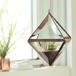 May include: A clear glass geometric terrarium with a copper frame, hanging from the ceiling. The terrarium contains a small air plant and brown soil.