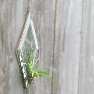 Geometric Air Plant Holder Diamond Shaped Beveled Glass Wall Hanging Plant Holder Clear and Copper Colored Wall Decor Made in Canada image 5