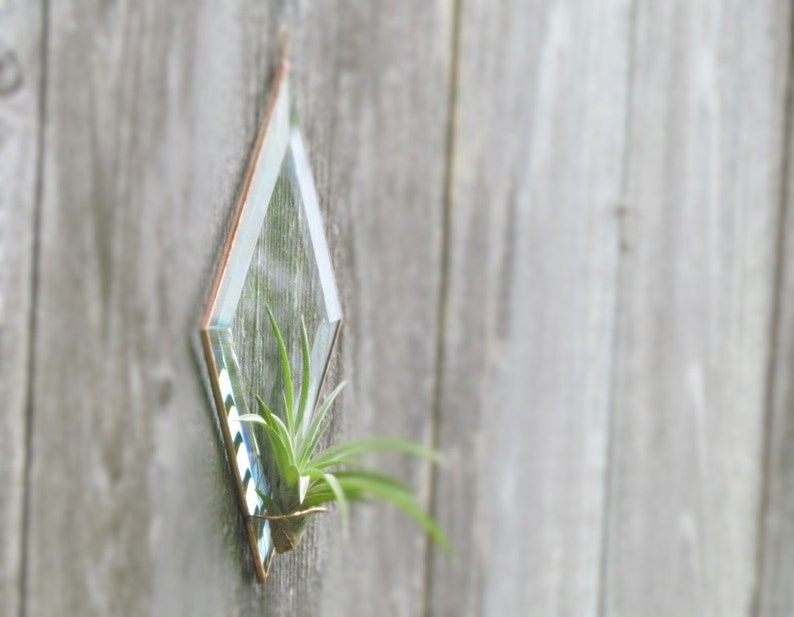 Geometric Air Plant Holder Diamond Shaped Beveled Glass Wall Hanging Plant Holder Clear and Copper Colored Wall Decor Made in Canada image 5