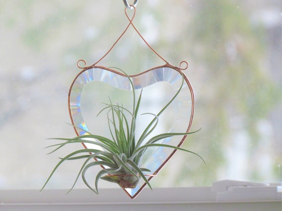 Stained Glass Air Plant Holder: Heart Shaped Copper Window Decor - Etsy