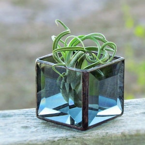 Air Plant Holder, Smoky Gray Beveled Stained Glass Terrarium, Grey Cubed Glass Box Planter, Handcrafted in Canada image 1