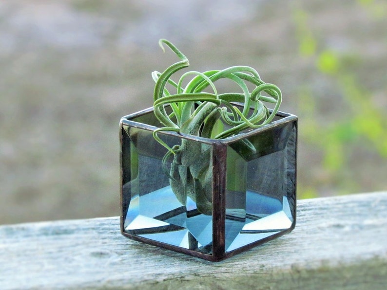 Air Plant Holder, Smoky Gray Beveled Stained Glass Terrarium, Grey Cubed Glass Box Planter, Handcrafted in Canada image 1