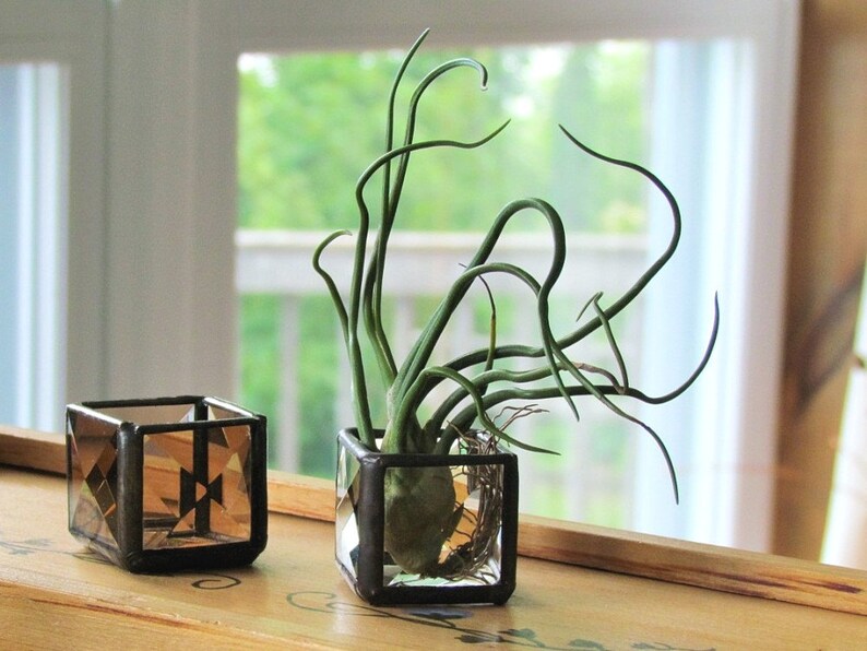 Mini Air Plant Holder Clear Stained Glass Terrarium Cubed Glass Box Planter image 5