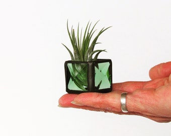 Mini Air Plant Holder Green Stained Glass Terrarium Cubed Glass Box Planter