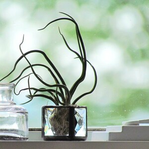 Mini Air Plant Holder Clear Stained Glass Terrarium Cubed Glass Box Planter image 4