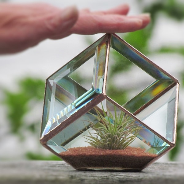 Gebrandschilderd glas Air Plant-terrarium: koperen geometrische kubusvaas