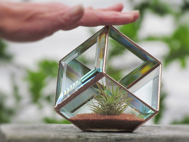Geometric Air Plant Holder Stained Glass Terrarium Asymmetrical Glass Cubed Box Vase Clear Copper Colors Handmade in Canada image 1