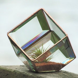 Geometric Air Plant Holder Stained Glass Terrarium Asymmetrical Glass Cubed Box Vase Clear Copper Colors Handmade in Canada image 2