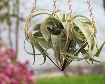 Hanging Air Plant Holder - Large Faceted Stained Glass Hanging Terrarium - Great for Tillandsia Xerographica, Caput Medusae - Made in Canada